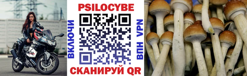 Галлюциногенные грибы ЛСД где можно купить Райчихинск